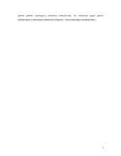 Daugialaipsnio ASK mikroschemos projektavimas 4 puslapis