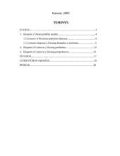 Eksporto iš Lietuvos į Ukrainą analizė: būklė, problemos, perspektyvos 2 puslapis