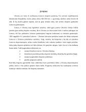 Eksporto iš Lietuvos į Ukrainą analizė: būklė, problemos, perspektyvos 3 puslapis