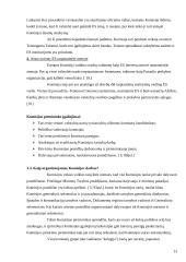 Europos Sąjunga ir Europos Komisija 13 puslapis