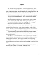 Europos Sąjunga ir Europos Komisija 3 puslapis