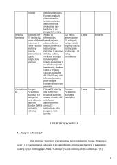 Europos Sąjunga ir Europos Komisija 8 puslapis