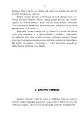 Europos Sąjungos institucijos ir jų aprašymai 13 puslapis