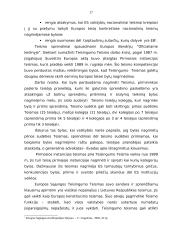 Europos Sąjungos institucijos ir jų aprašymai 17 puslapis