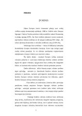 Europos valiutų sistema iki euro įvedimo 2 puslapis