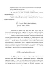 Europos valiutų sistema iki euro įvedimo 12 puslapis