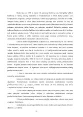 Europos valiutų sistema iki euro įvedimo 16 puslapis