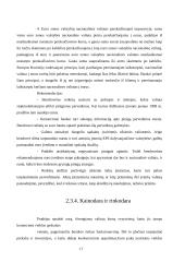 Europos valiutų sistema iki euro įvedimo 17 puslapis