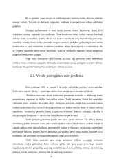 Europos valiutų sistema iki euro įvedimo 8 puslapis