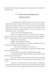 Europos valiutų sistema iki euro įvedimo 10 puslapis