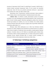 Faktoringo ir forfeitingo esmė 17 puslapis