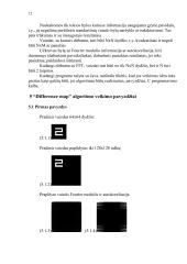 Fazės rekonstrukcija "Difference map" metodu 11 puslapis