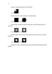 Fazės rekonstrukcija "Difference map" metodu 13 puslapis
