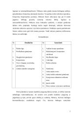 Fizinis krūvis nėščiai moteriai 2 puslapis