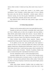 Fizinis krūvis nėščiai moteriai 17 puslapis