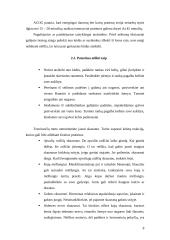 Fizinis krūvis nėščiai moteriai 8 puslapis