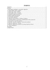 Gyventojai pasauliniame ūkyje: darbo jėgos naudojimas ir pasaulinės migracijos 2 puslapis