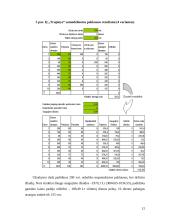 Imitacinis modeliavimas sprendimų paramos sistemose 12 puslapis