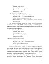 Imitacinis modeliavimas sprendimų paramos sistemose 14 puslapis