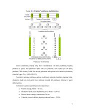 Imitacinis modeliavimas sprendimų paramos sistemose 7 puslapis