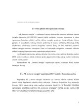 Įmonės AB "Lietuvos energija" analizė 3 puslapis
