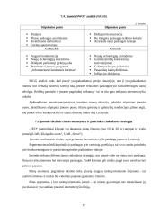 Įmonės analizė: fiksuotas ir internetinis ryšys AB "TEO" 17 puslapis