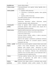 Įmonės aprašymas: nekilnojamo turto agentūra "Domus Optima" 6 puslapis