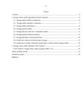 Įmonės atsargų vidaus auditas: UAB "Staduva" 2 puslapis