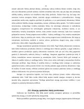 Įmonės atsargų vidaus auditas: UAB "Staduva" 11 puslapis