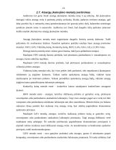 Įmonės atsargų vidaus auditas: UAB "Staduva" 13 puslapis