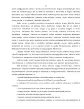 Įmonės atsargų vidaus auditas: UAB "Staduva" 17 puslapis