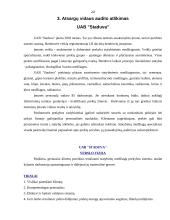 Įmonės atsargų vidaus auditas: UAB "Staduva" 20 puslapis