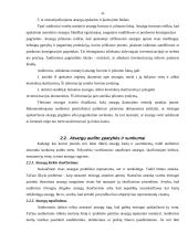 Įmonės atsargų vidaus auditas: UAB "Staduva" 6 puslapis