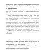 Įmonės atsargų vidaus auditas: UAB "Staduva" 7 puslapis