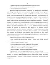 Įmonės atsargų vidaus auditas: UAB "Staduva" 8 puslapis