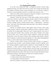 Įmonės atsargų vidaus auditas: UAB "Staduva" 9 puslapis