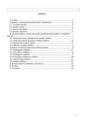 Įmonės finansinė veiklos analizė: AB "Vakarų skirstomieji tinklai" 2 puslapis