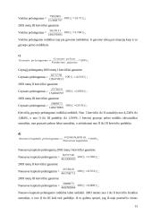 Įmonės finansinė veiklos analizė: AB "Vakarų skirstomieji tinklai" 13 puslapis