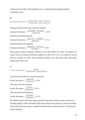 Įmonės finansinė veiklos analizė: AB "Vakarų skirstomieji tinklai" 16 puslapis