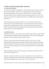 Įmonės finansinė veiklos analizė: AB "Vakarų skirstomieji tinklai" 4 puslapis