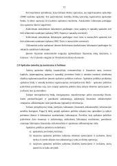 Įmonės finansinės apskaitos politikos turinys 12 puslapis