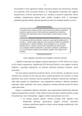 Įmonės finansinės apskaitos politikos turinys 17 puslapis