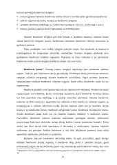 Įmonės gamybos verslo organizavimo proceso valdymas: AB "Plastikinės durys" 12 puslapis