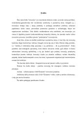 Įmonės inovacinis projektas: UAB "Žemaitės" 2 puslapis