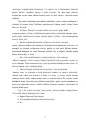Įmonės inovacinis projektas: UAB "Žemaitės" 16 puslapis