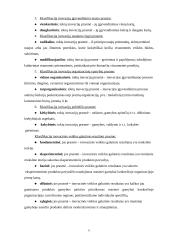 Įmonės inovacinis projektas: UAB "Žemaitės" 5 puslapis