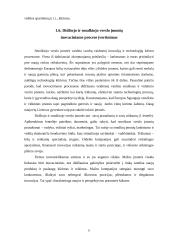Įmonės inovacinis projektas: UAB "Žemaitės" 10 puslapis