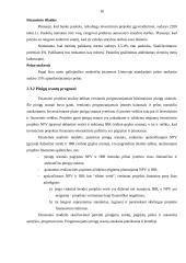 Įmonės investicijų planavimas: UAB "Varžtas" 17 puslapis