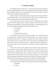 Įmonės investicijų planavimas: UAB "Varžtas" 6 puslapis