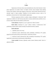 Įmonės organizacinės valdymo struktūros ir administracijos darbo pasidalijimo analizė: IĮ "Lucus" 2 puslapis